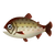 Fish Itou.png