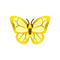 Insect morufochog.png