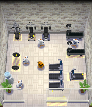 Training Room 3 Comp.png