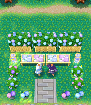 Bloomin' Hydrangea Park 2 Comp.png