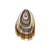 Oyster Shell.png