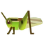 Insect Inago.png