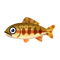 Fish Goldentrout.png