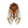 Insect Teiozemi.png