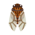 Insect Teiozemi.png