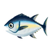 Island Tuna