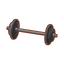 Int fns barbell.png