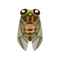 Insect higu.png