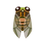 Insect higu.png