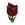 Black Tulips.png
