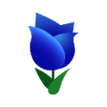 Blue Tulips.png