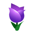 Purple Tulips.png