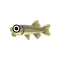 Fish Doctor.png