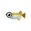 Fish 403001.png