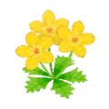 Ev flower 085 01.png