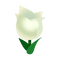White Tulips.png