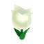 White Tulips.png