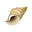 Conch Shell.png