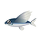 Fish Tobiuo.png