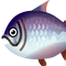 Fish kingsalmon big.png