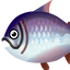Fish kingsalmon big.png